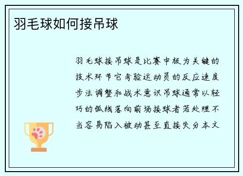 羽毛球如何接吊球